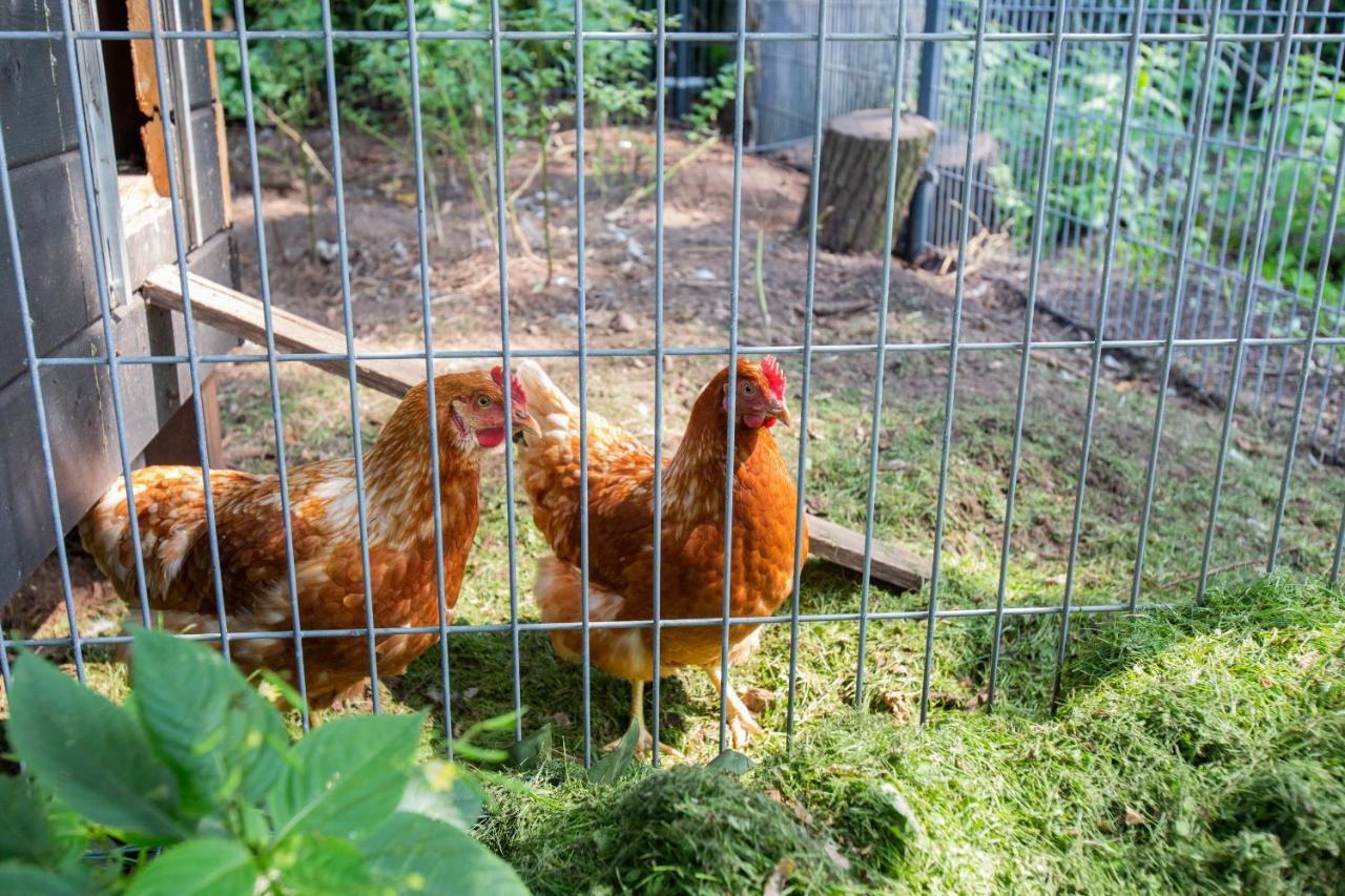 Koepel Enschede Konuk evi Dış mekan fotoğraf